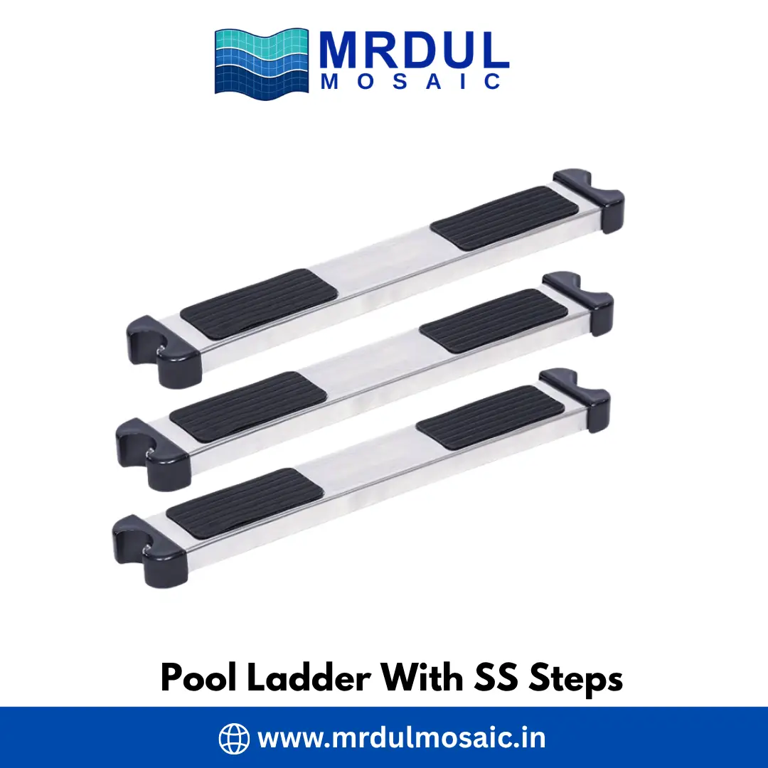 Pool Ladder With SS Steps