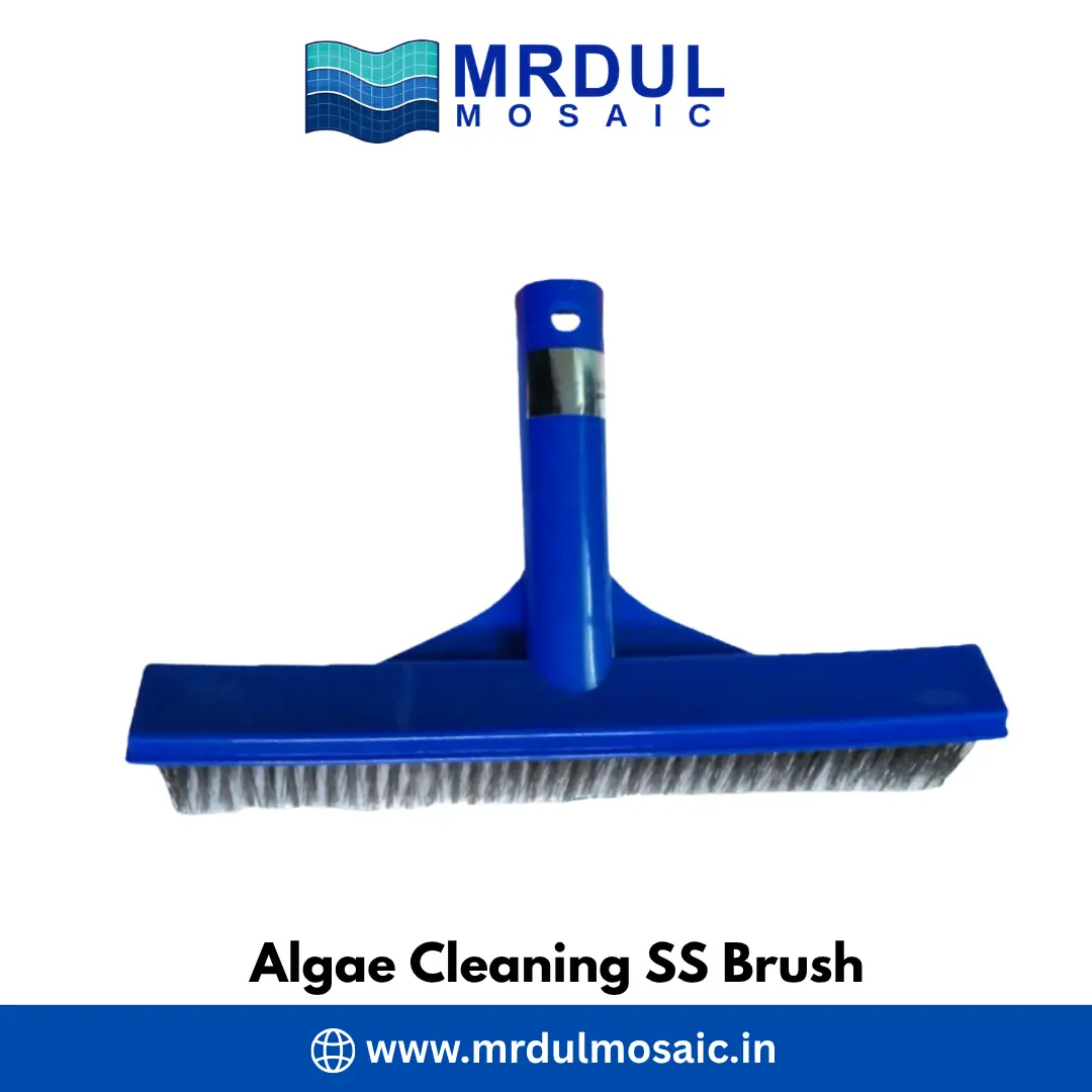 Algae Cleaning SS Brush