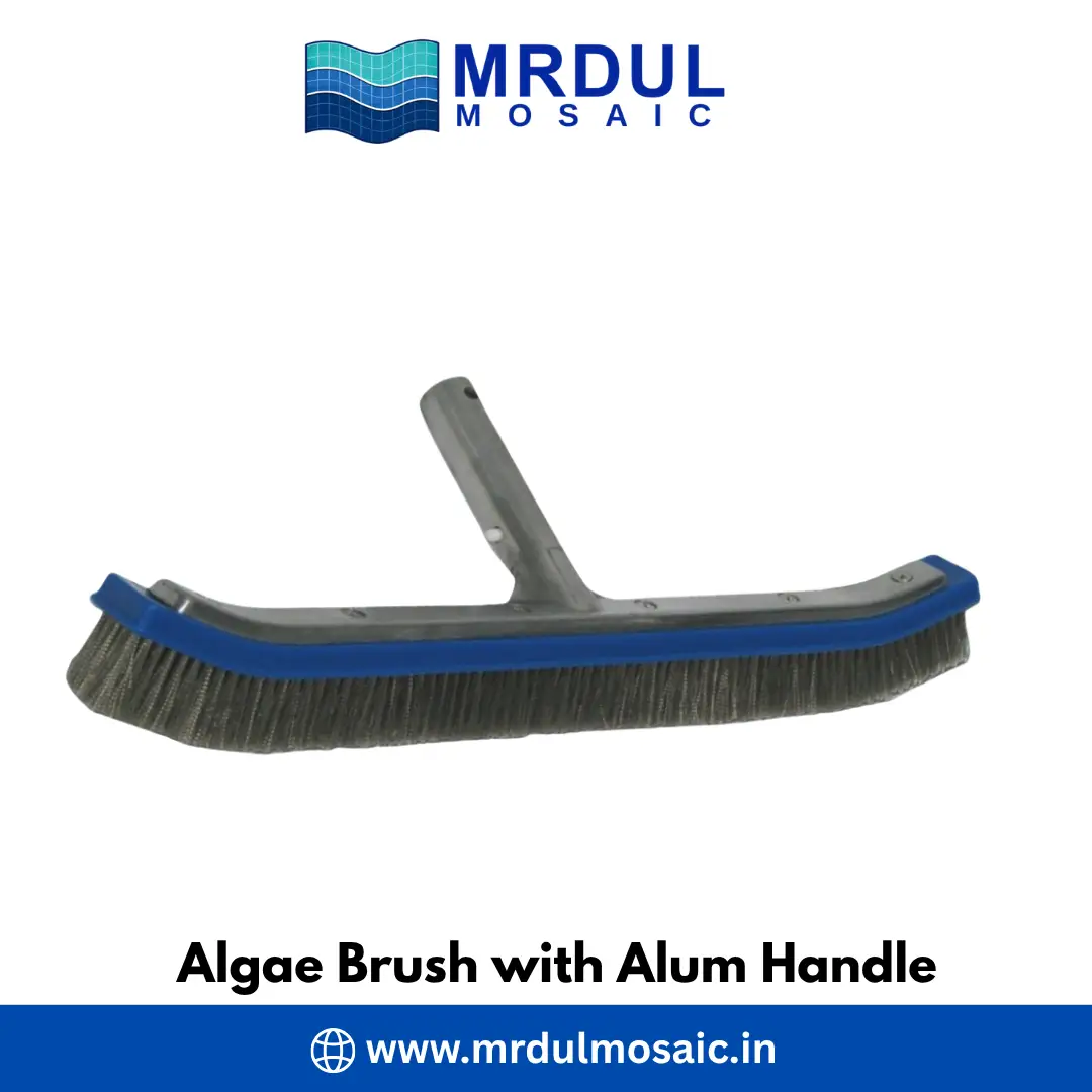 Algae Brush with Aluminium Handle